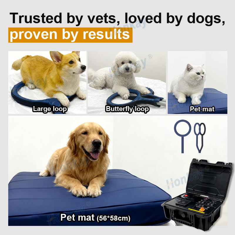 Personal Pet Care PEMF Device  - đánh giá và giá Therapy Health And Wellness