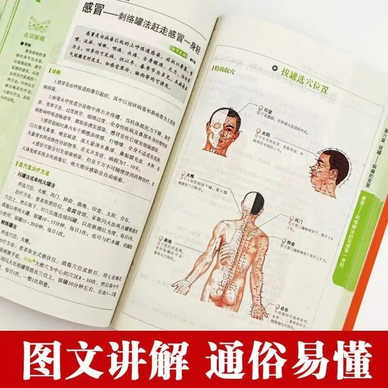 Holistic Health & Wellness Ser - đánh giá và giá Therapy Health And Wellness